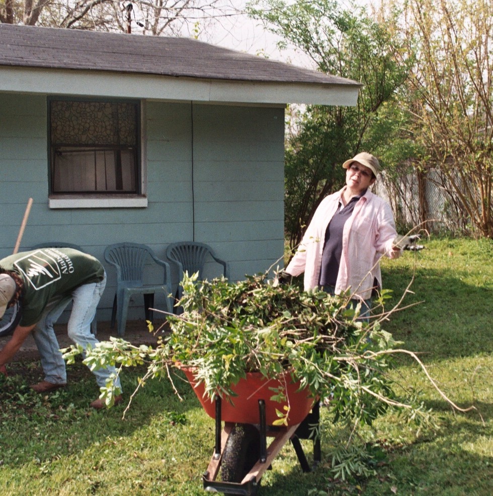 landscaping